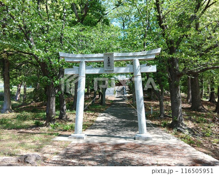天皇神社（坂出市） 116505951