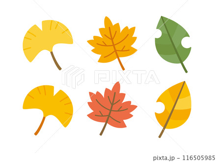 シンプルでかわいい紅葉のイラスト素材セット。イチョウやカエデなど、秋の木の葉。 116505985