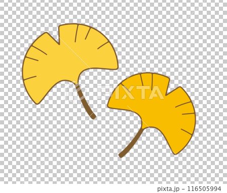 一組可愛的圓形銀杏葉插圖。銀杏有細細的輪廓。 116505994