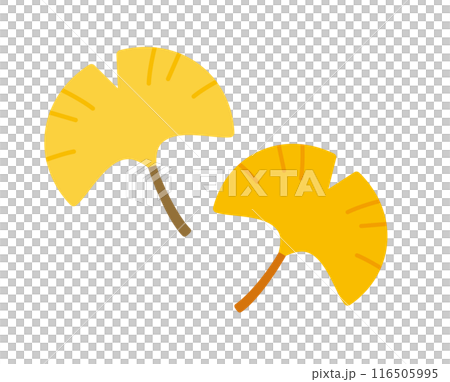 一組可愛的圓形銀杏葉插圖。 116505995