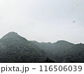 雨の降る日光山中 116506039