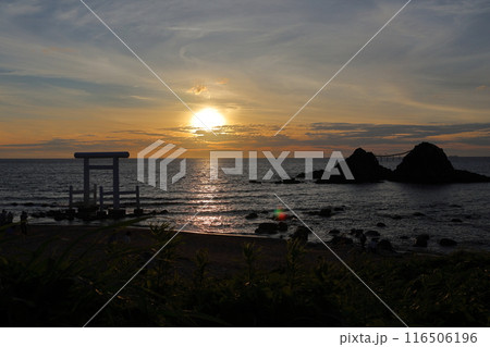 福岡県糸島市の桜井二見ヶ浦 夫婦岩 福岡県糸島市の桜井二見ヶ浦 夫婦岩 116506196
