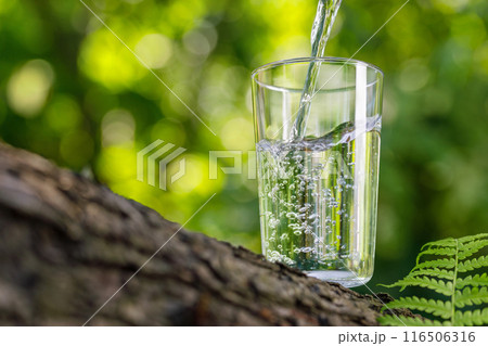 water pouring into glass on log with fern leaf 116506316