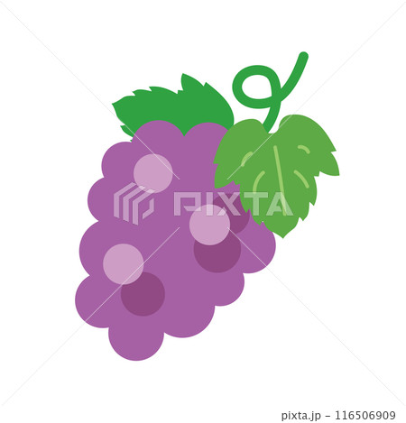 葉っぱのついたブドウのイラスト 116506909