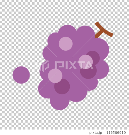Illustration of grape 116506910
