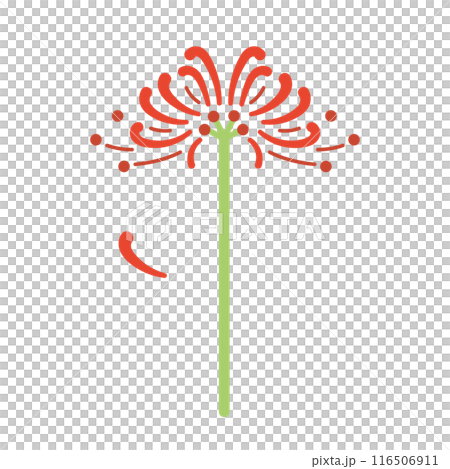 彼岸花のイラスト 116506911