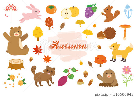 かわいい秋のイラスト素材セット かわいい秋のイラスト素材セット 116506943