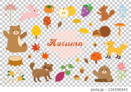 かわいい秋のイラスト素材セット かわいい秋のイラスト素材セット 116506943
