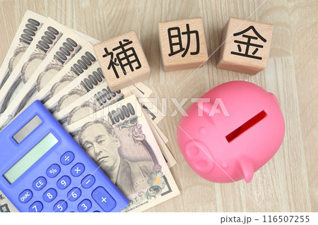 補助金に関するイメージ 補助金に関するイメージ 116507255
