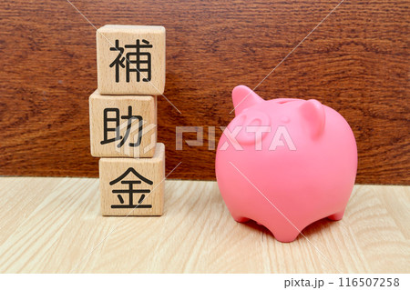 補助金に関するイメージ 補助金に関するイメージ 116507258