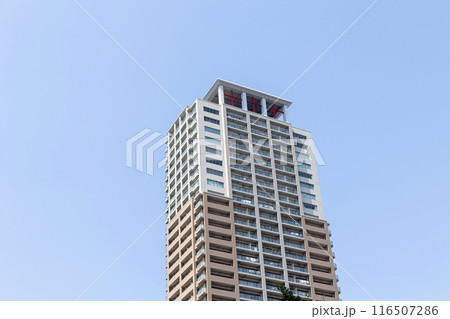 青空と高層の集合住宅 116507286