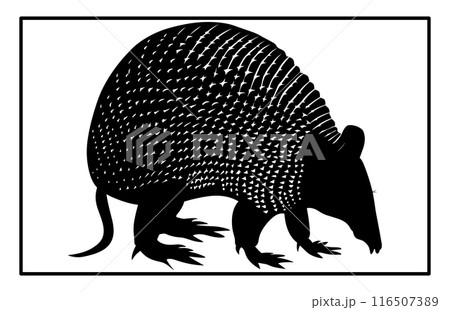 Armadillo Walking Silhouette, Black silhouette of an armadillo, vintage retro hipster armadillo logo 116507389