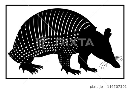Armadillo Walking Silhouette, Black silhouette of an armadillo, vintage retro hipster armadillo logo Armadillo Walking Silhouette, Black silhouette of an armadillo, vintage retro hipster armadillo logo 116507391