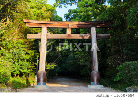 朝日に照らされる近江神宮の鳥居 朝日に照らされる近江神宮の鳥居 116507684