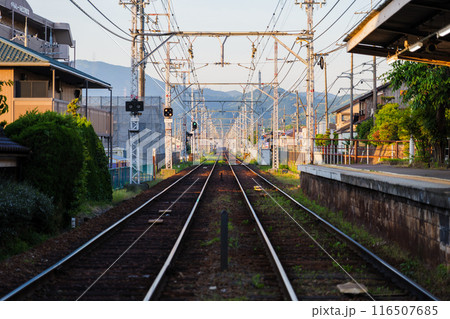 朝日に照らされる京阪電車の線路 朝日に照らされる京阪電車の線路 116507685
