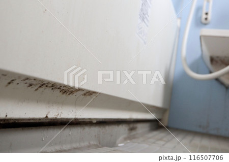 お風呂の壁面の黒カビ 116507706