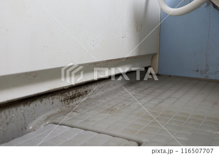 お風呂の壁面の黒カビ 116507707