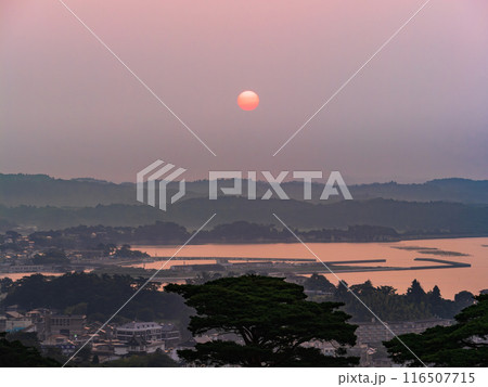 松島湾の日の出 夏景 松島湾の日の出 夏景 116507715