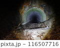 真夜中の旧木の実トンネル入り口 116507716