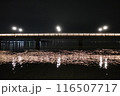 愛知県蒲郡市　夜の竹島橋を横から見上げる 116507717