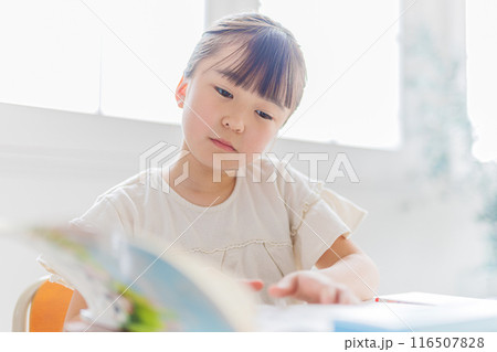 勉強をする小学生 勉強をする小学生 116507828
