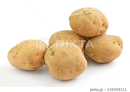 じゃがいも（ニシユタカ） 116508111