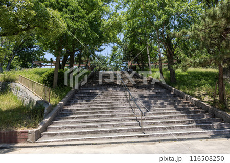 大阪/天保山公園の石の階段(2024年6月撮影) 大阪/天保山公園の石の階段(2024年6月撮影) 116508250