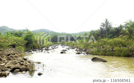 Flooded river nature background.Ideal for environmental,nature,disaster and climate change themes 116508561