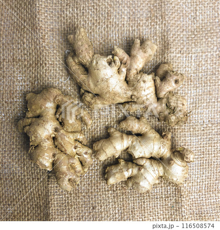 Ginger root isolated on burlap fabric background Ginger root isolated on burlap fabric background 116508574