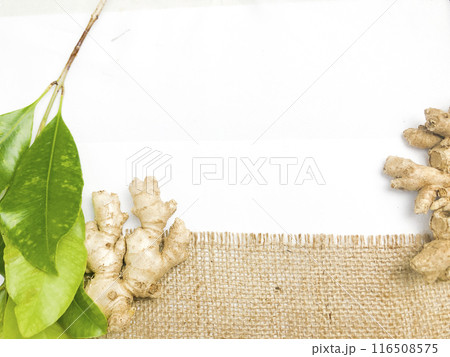 Ginger root isolated on burlap fabric background. Ideal for use in health, culinary and content  Ginger root isolated on burlap fabric background. Ideal for use in health, culinary and content  116508575