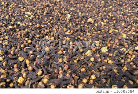 Dry cloves. Ideal for use in culinary,health, and spice related content 116508584