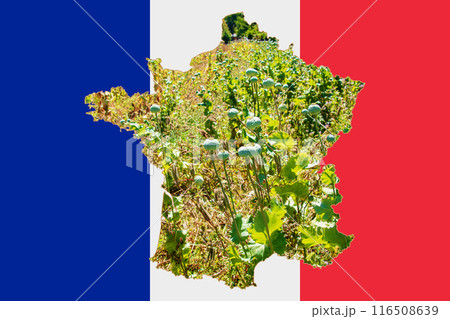 Outline map of the France with the image of the national flag. Image of poppy cob inside card. Collage. The France is a major poppy producer. 116508639
