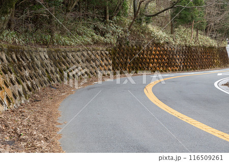 山道のカーブした道路 116509261