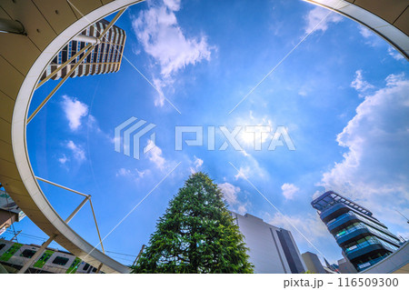 日本の東京都市景観 7月。大塚駅前などを望む＝令和6年7月5日 116509300