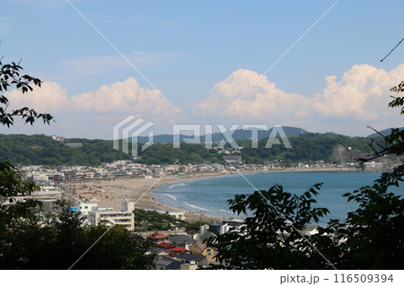 鎌倉市 鎌倉市 116509394