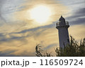 夕日と野間灯台『愛知県』 116509724