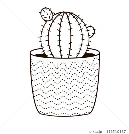 small round cactus in a flower pot 116510187