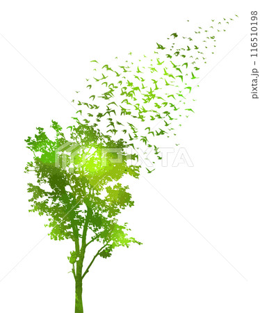Tree green silhouette and flying birds. hand drawing. Not AI Vector 116510198