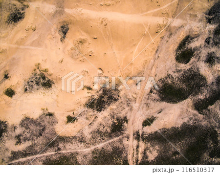 sandy steppe with trails and dry plants 116510317