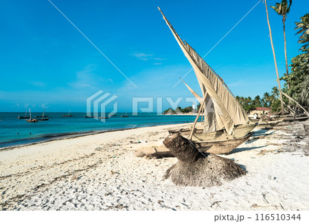 Ethnic sailing vessel sitting at a beach 116510344