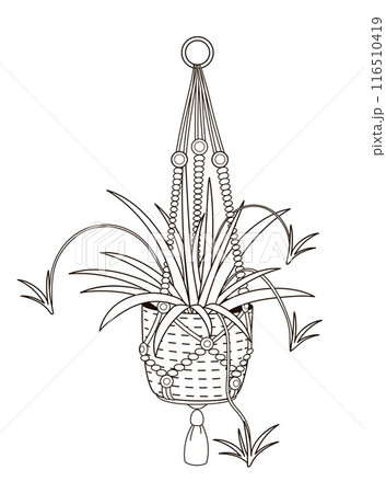 hanging pot in boho style 116510419