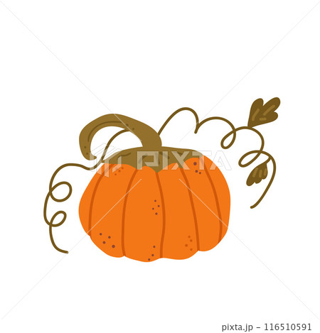 Pumpkin with tendrils isolated on white background. Textured stylized autumn ripe vegetable harvest. Vector hand drawn flat illustration 116510591