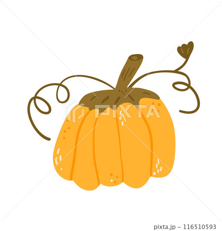Pumpkin isolated on white background. Textured stylized ripe vegetable with tendrils. Vector hand drawn flat illustration 116510593