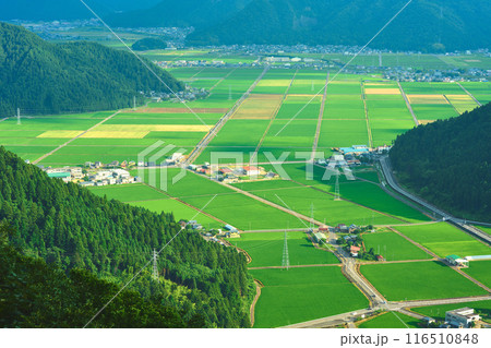 文殊山から見える農村地帯 文殊山から見える農村地帯 116510848