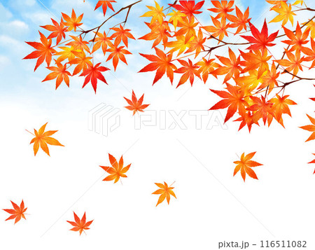 秋晴れのうろこ雲ー清々しい空ともみじやカエデやなどの秋の葉っぱの舞い散る美しい壁紙イラスト素材 116511082