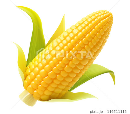 One yellow corn cob with green husk, realistic illustration on a white background 116511113