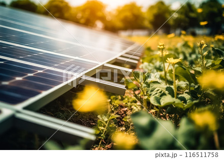 Solar panels on the sky background 116511758