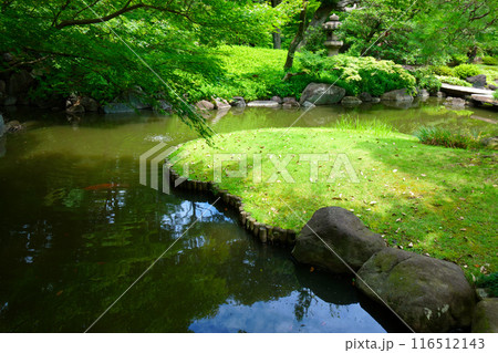 旧古河庭園の若葉に新緑と水面に映える景観 116512143