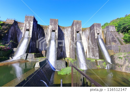 【香川県】ツツジ咲く春の豊稔池ダム(豊稔池堰堤)国最初の石積式多連マルチプルアーチダム 【香川県】ツツジ咲く春の豊稔池ダム(豊稔池堰堤)国最初の石積式多連マルチプルアーチダム 116512147