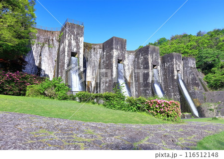 【香川県】ツツジ咲く春の豊稔池ダム（豊稔池堰堤）国最初の石積式多連マルチプルアーチダム 116512148